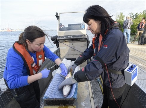 Two women on a boat beside a dock performing surgery on a fish
